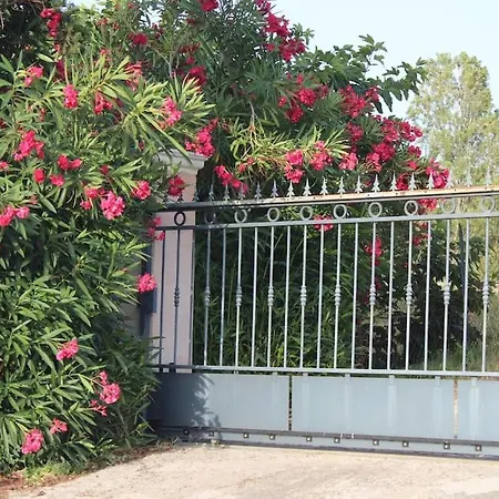 Maison Avec Jardin Privatif à 3km Des Plages